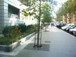 Rue Bat Yam