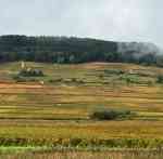 Domaine les Astrelles